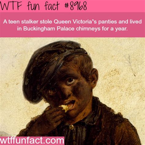 wtf fun facts|100 facts about wtf.